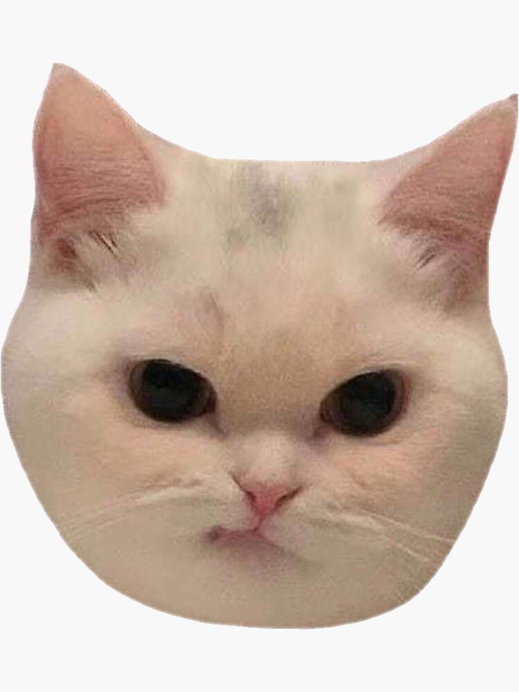 Angry Cat React | Sticker