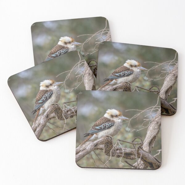 Item preview, Resting Kookaburra designed and sold by Luke Foster.