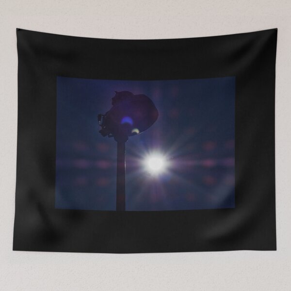 Item preview, The great bulb and dark profile. Solar eclipse views at Kemi 14 designed and sold by Jouko Lehto Photography.