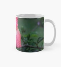 Rain Enrichment Mug