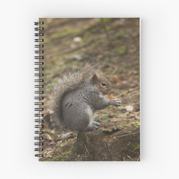 Item preview, squirrel munchies designed and sold by ghost58.