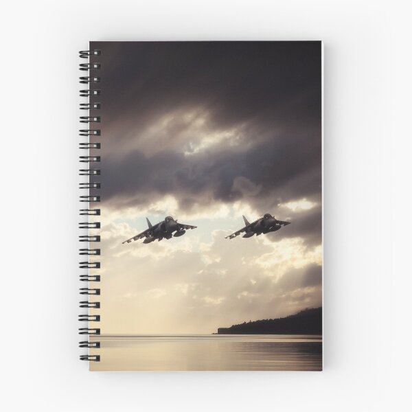Item preview, Low Level Harriers designed and sold by Airpower Art.