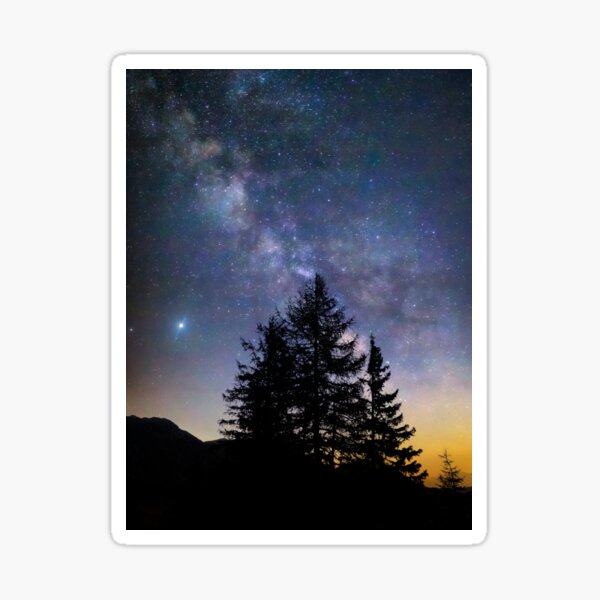 Trees under the stars Sticker