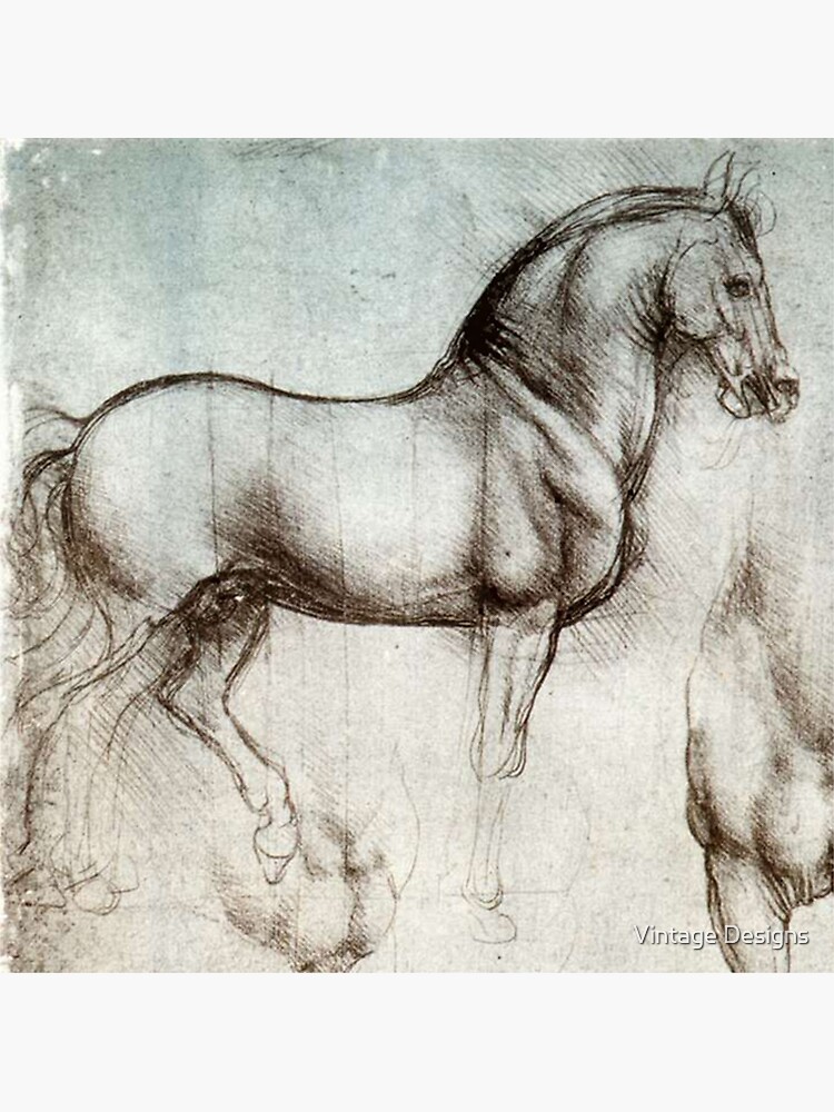 Discover Horse sketches by Leonardo Da Vinci Premium Matte Vertical Poster