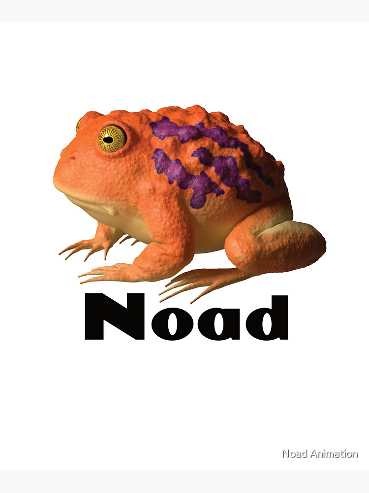 Noad Toad by noadanimation