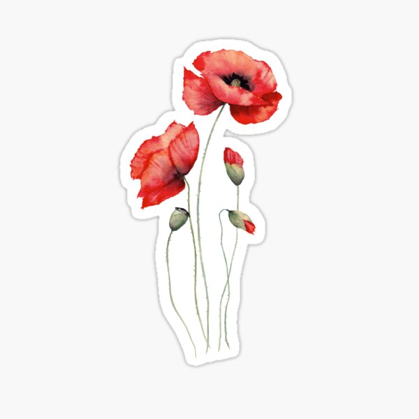 Artikel-Vorschau von Rote Mohnblumen Aquarell, designt und verkauft von InnaPatiutko.