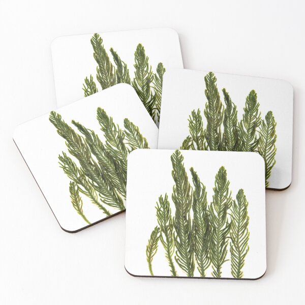 Item preview, Seaweed #20 designed and sold by dPhoto9.