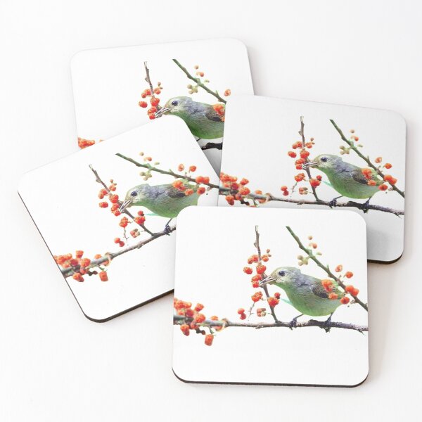 Item preview, Green flowerpecker (scientific name: Dicaeum minullum): It is a species of the flowerpecker family, 5-8 grams in weight and 64-89 mm in length designed and sold by zenger2021.