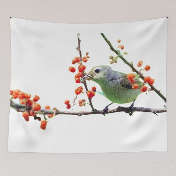 Item preview, Green flowerpecker (scientific name: Dicaeum minullum): It is a species of the flowerpecker family, 5-8 grams in weight and 64-89 mm in length designed and sold by zenger2021.