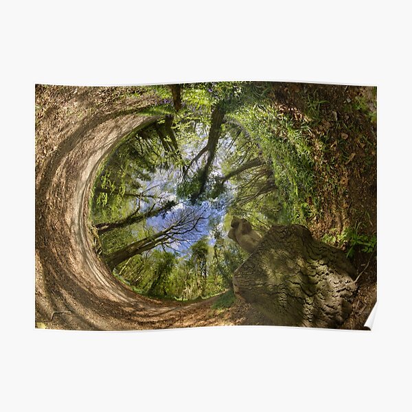Squirrel Sculpture in Prehen Woods, Derry - Sky In Poster