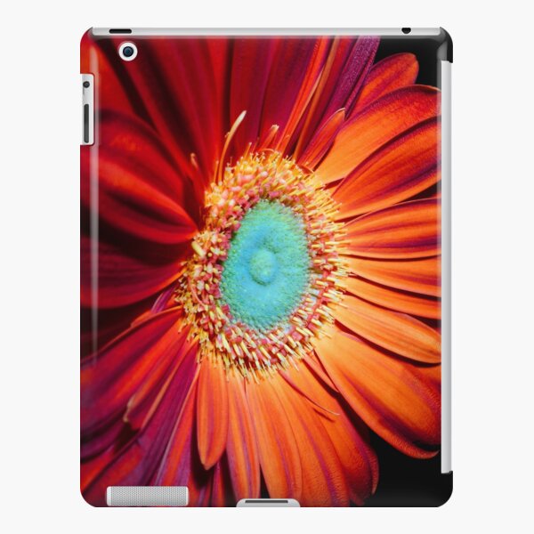 Carousel (iPad case) iPad Snap Case