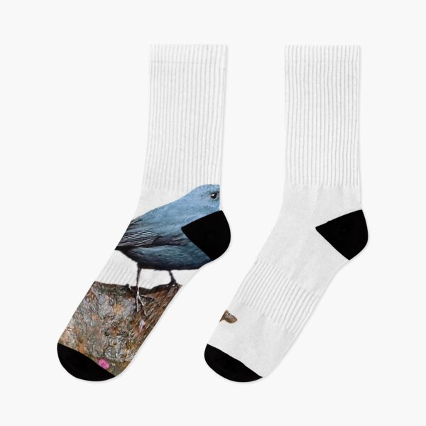 Item preview, Scientific name: Phoenicurus fuliginosus Common names: Red-tailed water robber designed and sold by zenger2021.