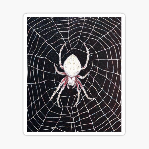 Wheel-weaving Garden spider Sticker