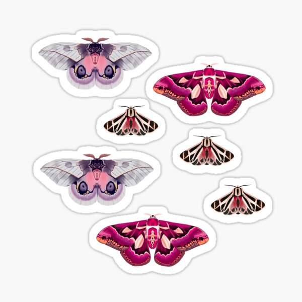 Small Moth Stickers