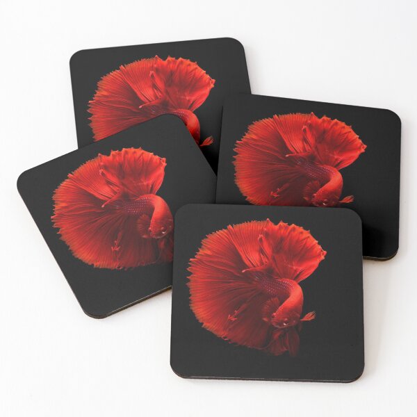 Item preview, siamese fighting fish designed and sold by Mohamed Bekhechi.