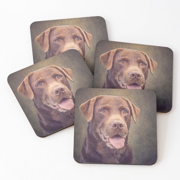 Item preview, Chocolate Labrador (Charlie) - Dog Lover designed and sold by John Dewar.