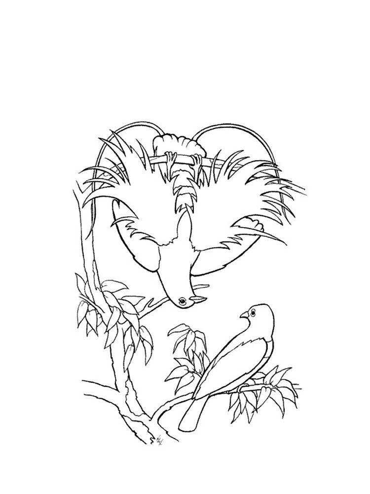Thumbnail 4 of 4, iPhone Case, Display, Coloring Project. designed and sold by Quill-n-Ink.