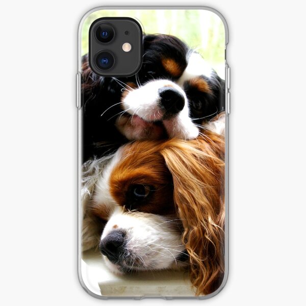 Brothers Cavaliers iPhone Soft Case