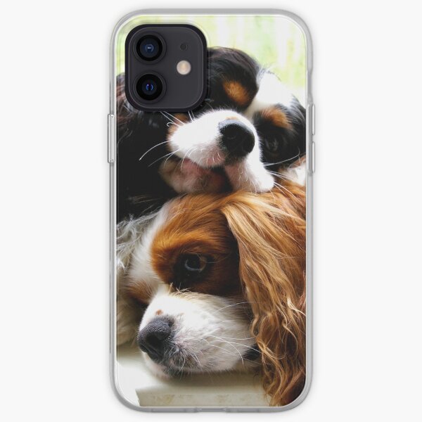 Brothers Cavaliers iPhone Soft Case