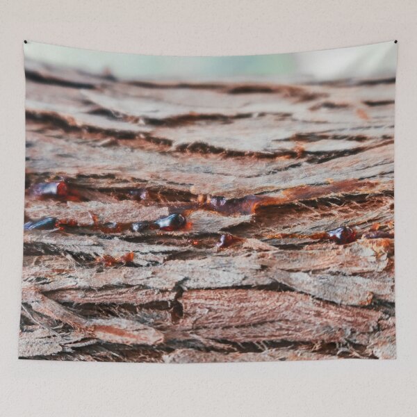 Item preview, Wounds of A Tree - A Closer Look At the Bark of A Tree - Tree Glue Close-up Photography designed and sold by sthNnth.