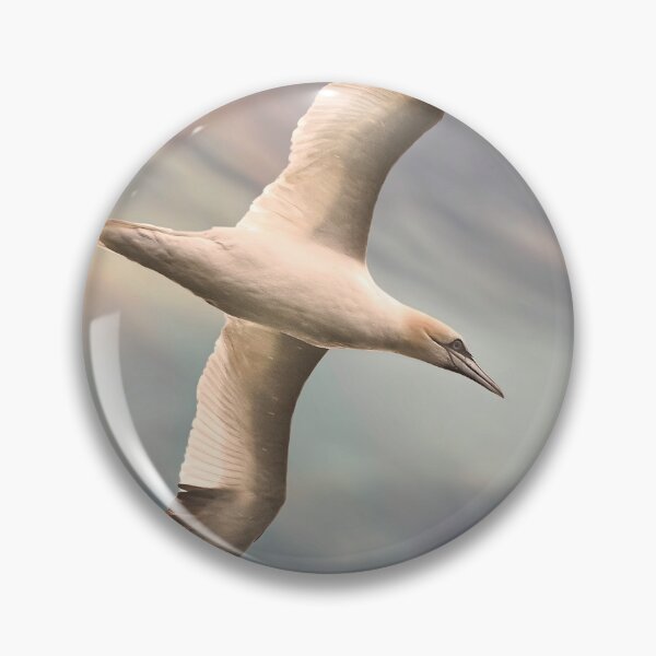 Item preview, White Warhead (gannet) - Bird Lover designed and sold by John Dewar.