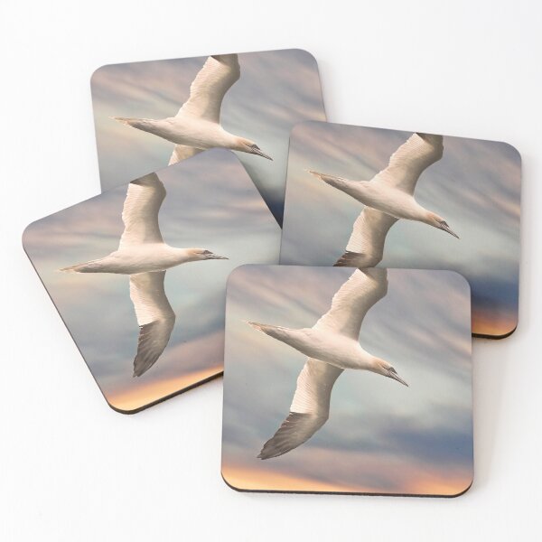 Item preview, White Warhead (gannet) - Bird Lover designed and sold by John Dewar.