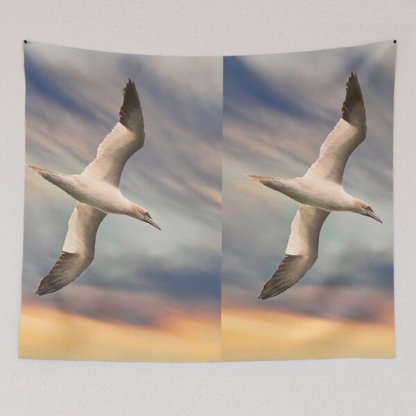 Item preview, White Warhead (gannet) - Bird Lover designed and sold by John Dewar.