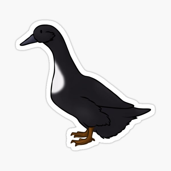 Item preview, Swedish Black Duck designed and sold by Clucky-Designs.