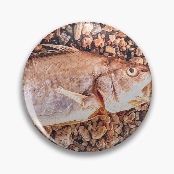 Item preview, Dead Fish Over Rocky Ground Photo designed and sold by DFLC Prints.