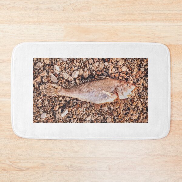 Item preview, Dead Fish Over Rocky Ground Photo designed and sold by DFLC Prints.