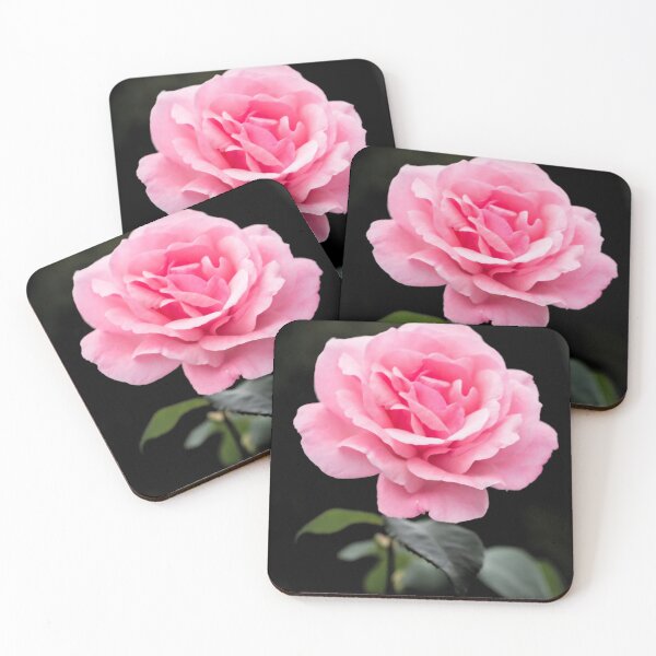 Item preview, Rose Flower Colurs designed and sold by colurs.