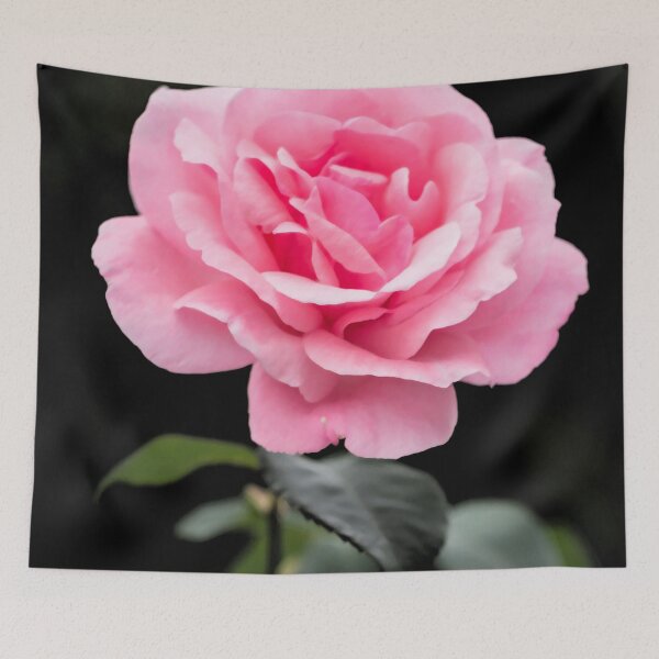 Item preview, Rose Flower Colurs designed and sold by colurs.