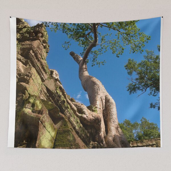 Item preview, Banyan Tree on Ancient Temple Ruins designed and sold by MagicBeanDreams.