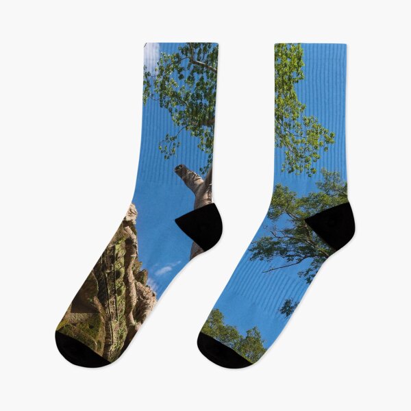 Item preview, Banyan Tree on Ancient Temple Ruins designed and sold by MagicBeanDreams.