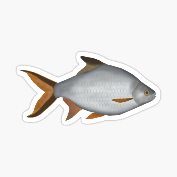 Item preview, Tinfoil Barb designed and sold by fishfolkart.