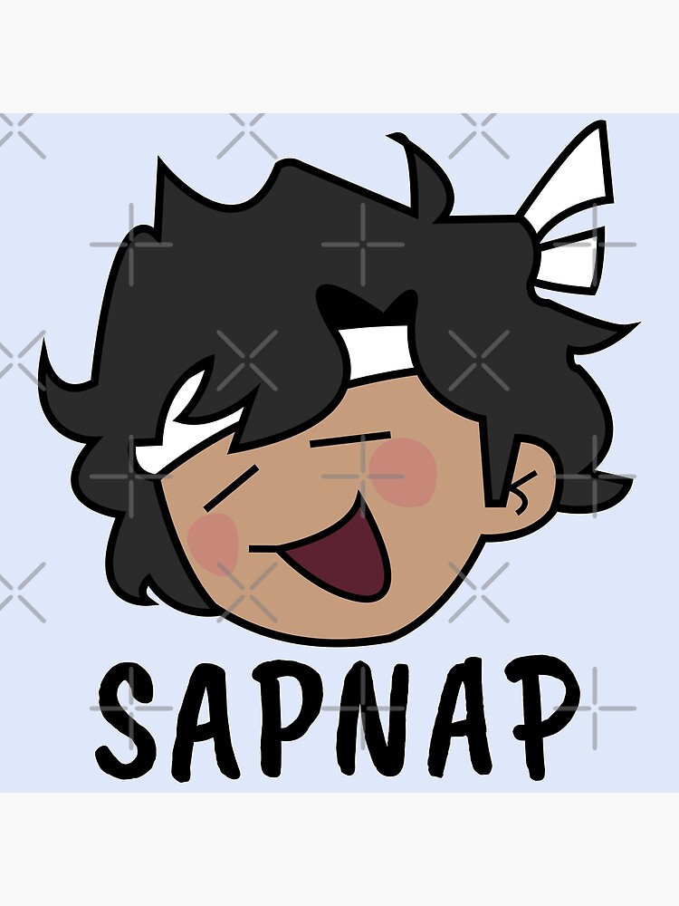 Sapnap Avatar' Sticker
