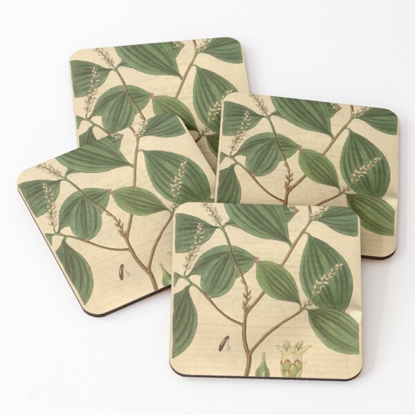 Item preview, Curtis's botanical magazine (Plate 3324) (8202166947) designed and sold by EsotericBotanic.