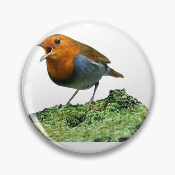 Item preview, Japanese song robin (scientific name: Erithacus akahige) is a bird belonging to the genus Flycatcher, Eurasian robin designed and sold by zenger2021.
