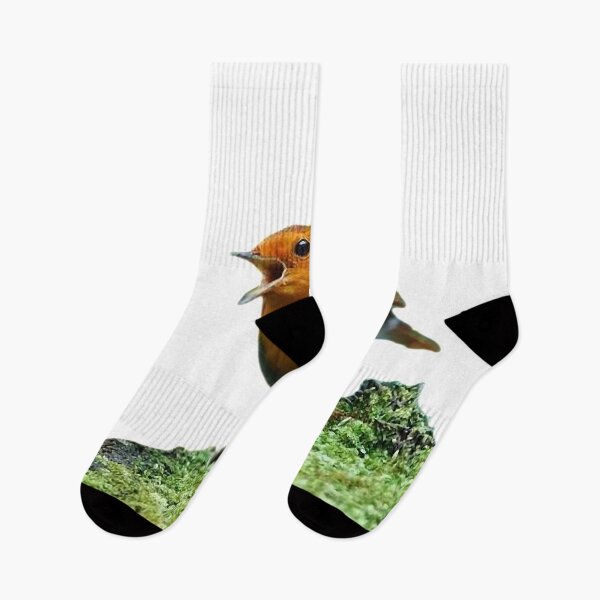 Item preview, Japanese song robin (scientific name: Erithacus akahige) is a bird belonging to the genus Flycatcher, Eurasian robin designed and sold by zenger2021.