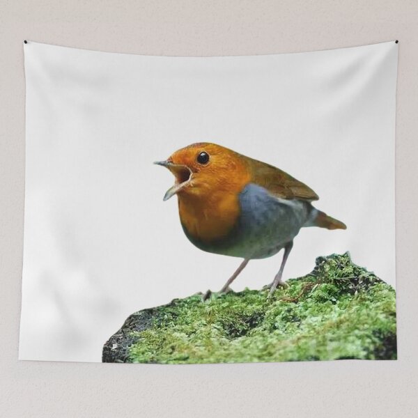 Item preview, Japanese song robin (scientific name: Erithacus akahige) is a bird belonging to the genus Flycatcher, Eurasian robin designed and sold by zenger2021.