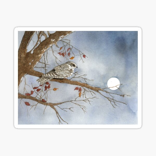 Nightwatch Sticker
