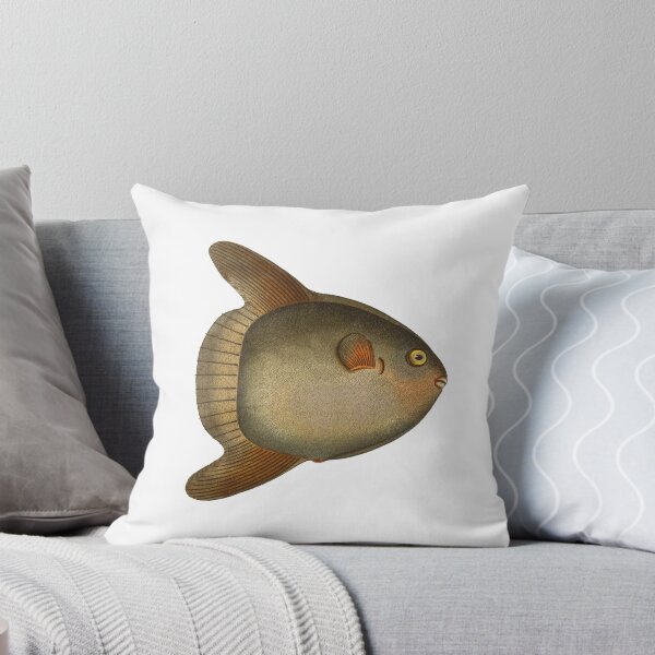 Item preview, Giant Mola Mola Antique Engraving designed and sold by AntiqueImages.