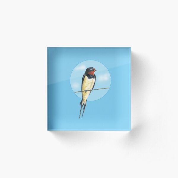 Swallow on a wire Acrylic Block