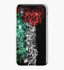 Galaxy of Palestine iPhone Case/Skin