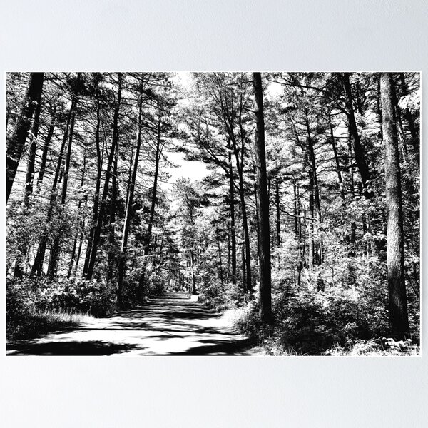 Item preview, Black and White Pine Forest designed and sold by HeuringGallery.