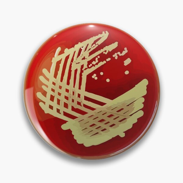 Item preview, Bacterial Culture Streaks E.coli Petri Dish in Microbiology Lab Gold Red Yellow designed and sold by labstud.