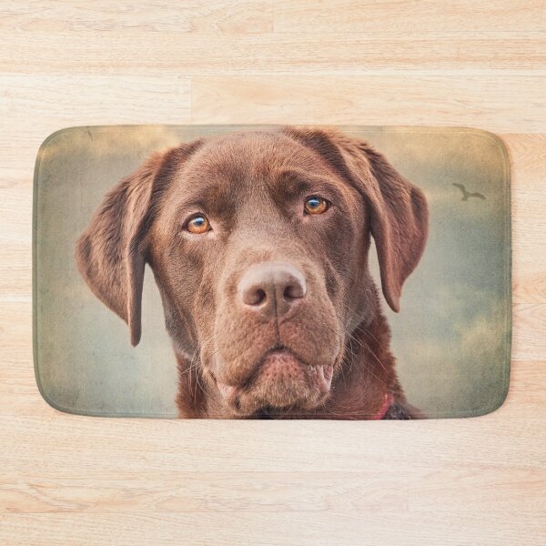 Item preview, Beautiful Chocolate Labrador designed and sold by John Dewar.