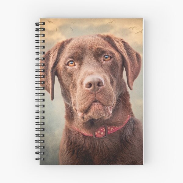 Item preview, Beautiful Chocolate Labrador designed and sold by John Dewar.