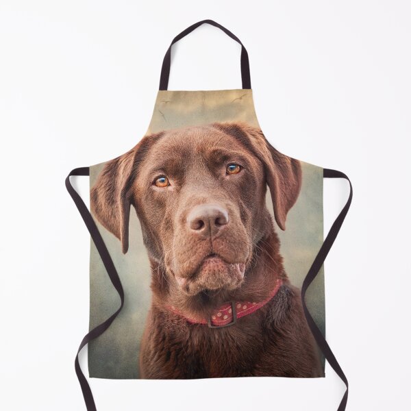 Item preview, Beautiful Chocolate Labrador designed and sold by John Dewar.