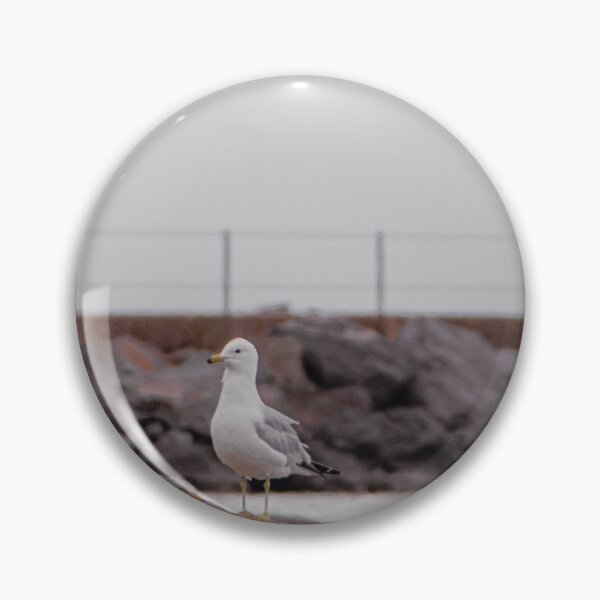 Aperçu de l'œuvre Mouette sur le lac Supérieur créée et vendue par HeuringGallery.